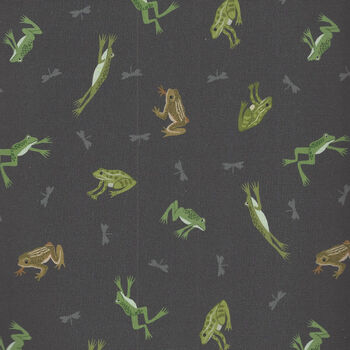 Small Things Rivers and Creeks by Lewis and Irene D SM77 C3 Frogs