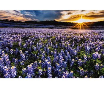 Sun Up To Sun Down Hoffman Digital Panel 29x42 HR4690 647 Blue Bonnet