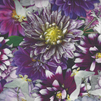 Tinaand39s Garden By Leto For Clothworks Fabrics Y367827 Purple