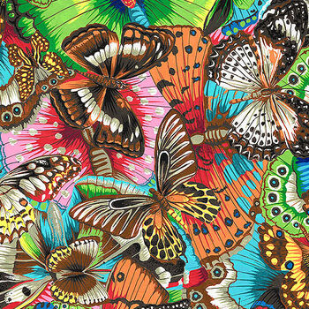 Treasure Island By Snow Leopard PWSL107Multi Patt Tropical Butterflies