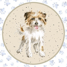 Whiskers and Paws by Wrendale Designs and Maywood Panel 26x42 10413 Col2