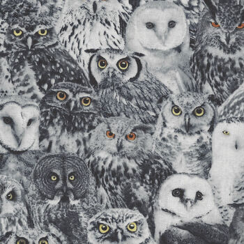 Wicked Packed Owls From Timeless Treasures TTC7883 Black