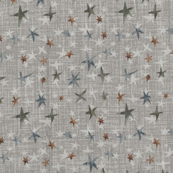 Winter Dreams For FIGO 90845 Color 14 Stars