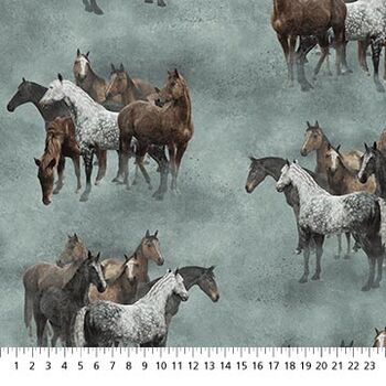  Stonehenge Frontier for Northcott Fabrics 2518064 Horses