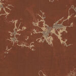 Anthology Batik for Fern Textiles 854Q-3 Mushrom Rorschach