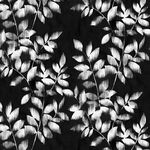 Arboretum by P&B Fabrics 108" Quilt Back Brushy Vines 05665 Col. KW Black.