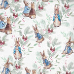 Beatrix Potter Peter Rabbit by Frederick Warne Co 2802-02/pr Christmas Ferns.