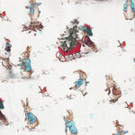 Beatrix Potter Peter Rabbit by Frederick Warne Co 2802-05/pr Fun in the Snow.