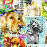 Best Friends by Lexi Grenzer for Clothworks Y4281 - 55 Multicolor.