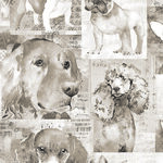 Best Friends by Lexi Grenzer for Clothworks Y4281 - 62 Taupe.