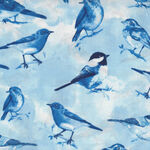 Bird From Timeless Treasures Fabrics TTC8453 Color Sky. Blue Birds.