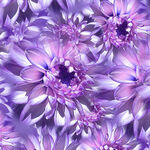 Bloom Hoffman Spectrum Fabric HW5398 228 Viola.