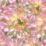 Bloom Hoffman Spectrum Fabric HW5398 374 Light Camellia..
