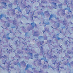 Butterfly Dreams by Timeless Treasures Fabrics TTCD2908 Purple.
