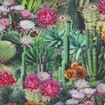Cactus Flowers Bloom By Timeless Treasures Patt West  CD1786 Desert Dreams Multi