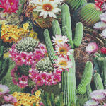 Cactus Flowers Bloom By Timeless Treasures Patt. West - CD1786 Desert Dreams Mul