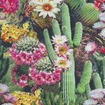 Cactus Flowers Bloom By Timeless Treasures Patt West   CD1786 Desert Dreams Mul