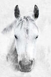 Call Of The Wild Horse Panel 30"x 42" Hoffman Spectrum Digital U5017 147 Storm H