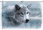 Call Of The Wild Wolf Panel 30" x 42" Hoffman Spectrum Digital HV5212 113 Frost.