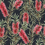 Callistemon 108" Wide Quilt Back By Milvale Studios KK 3019A Black.