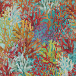 Calypso by Jason Yenter for In The Beginning 2220 3 CAL Color 2.