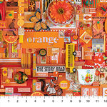 Color Collage 2 by Shelleysdavies for Northcott Fabric Digital DP22415 Col 54 O