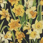 Daffodil Blossoms by Nutex 89420 Colour 2