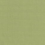 Devonstone Solids DV102 LT Green.