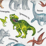 Dinosaur Planet by Timeless Treasures Fabrics TTC219 Color White.