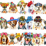 Dog Portraits Digital Print 100% Cotton Rubin Colour Multi.