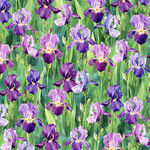 Flower Shoppe Hoffman Spectrum Fabric HW5479 228 Viola.