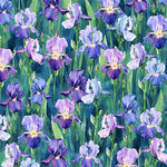 Flower Shoppe Hoffman Spectrum Fabric HW5479 40 Iris.