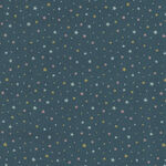 Frosty Fun for Timeless Treasures TTCD1950 Grey With Stars.
