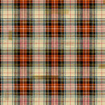 Holidays Past by Tim Holtz Eclectic Elements PWTH198.Multi Patt. Lodge Plaid.