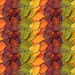Homestead October by Hoffman Spectrum Fabrics HW5516-595 October.