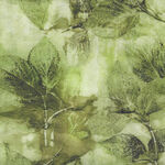 Into The Woods by Katrinka for Free Spirit Fabrics PWKA013 Pattern Dogwood Colou
