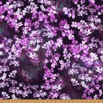 Jewel Depths by Hoffman Fabrics Spectrum W5487-014 Purple.