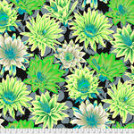 Kaffe Fasset Collective by Phillip Jacobs 2021 PWPJ096 Cactus Flower Contrast Gr