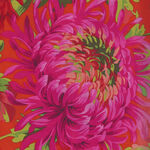 Kaffe Fassett Classics Collective PWPJ072. Color RedXX. Pattern Shaggy.
