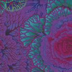 Kaffe Fassett Collective Phillip Jacobs Brassica PWPJO51 Purple