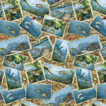 Keep It Reel By Blank Quilting Fabric Pattern 1356 - 070 Blue Postcards.