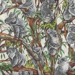 Koalas' from Nutex 11120 Colour 1