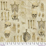 Labratory by Tim Holtz Eclectic Elements PWTH181. Neutral Patt. Anatomy.