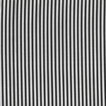 Little Stripe by Michael Miller Pattern CX-6574 Black and White 1/8th".
