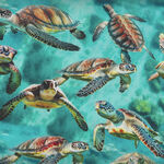 Marine Marvels Milvale Designs for KK Fabrics 4058J Turtles.