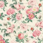 Michael Miller Heirloom Roses with Text DCX11886 Colour Cream Coral.