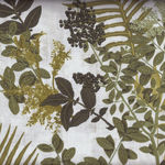 Nature Trail Large Botanical Ecru by Paintbrush Studio 120-11301