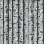 Naturescapes First Light From Northcott Fabrics 26765 Colour 92 Birch Trees.