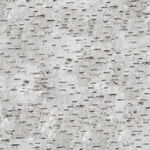 Naturescapes by Deborah Edwards For Northcott Fabrics 21383 Color 91 Grey/Brown.