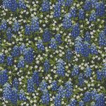 Naturescapes by Deborah Edwards for Northcott Fabrics Style 21851 Color 44